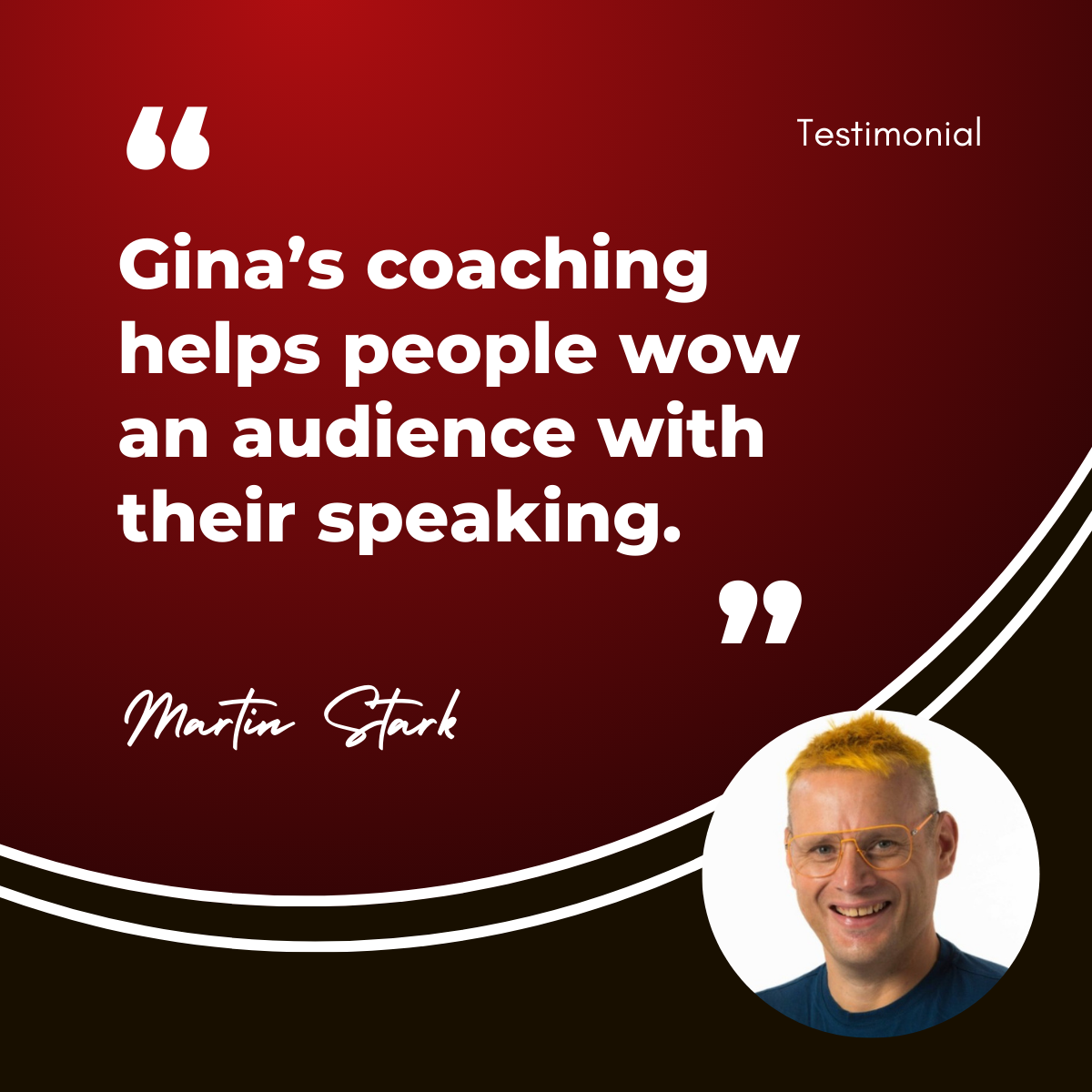 Martin Stark provides a testimonial about Gina Balarin.